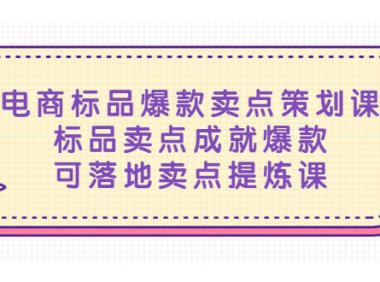 （4307）电商标品爆款卖点策划课，标品卖点成就爆款，可落地卖点提炼课