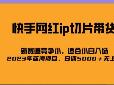 (4316)2023爆火的快手网红IP切片,号称日佣5000+的蓝海项目,二驴的独家授权