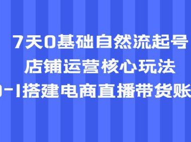 （4320）7天0基础自然流起号，店铺运营核心玩法，0-1搭建电商直播带货账号