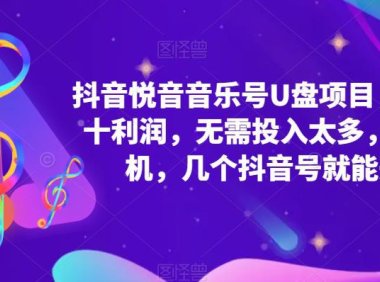 (4366)抖音音乐号U盘项目 一单几十利润 无需投入太多 一台手机 几个抖音号就开始