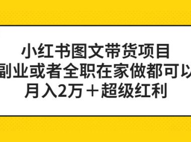 (4370)小红书图文带货项目,副业或者全职在家做都可以,月入2万+超级红利