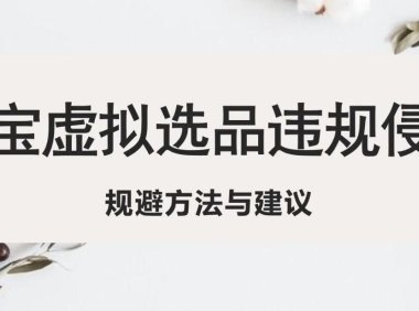 (4373)淘宝虚拟违规侵权规避方法与建议,6个部分详细讲解,做虚拟资源必看!