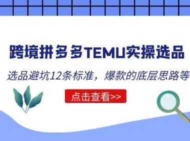 (4377)跨境拼多多TEMU实操选品运营方法,选品避坑12条标准,爆款的底层思路等