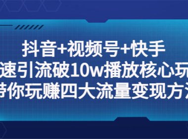 （4378）抖音+视频号+快手 快速引流破10w播放核心玩法：带你玩赚四大流量变现方法！