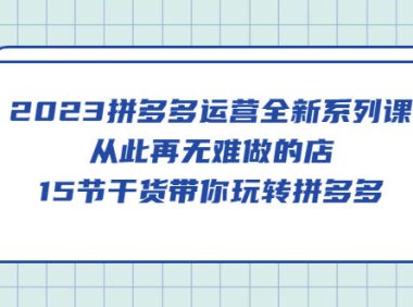 （4388）2023拼多多运营全新系列课，从此再无难做的店，15节干货带你玩转拼多多
