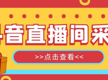 （4406）抖音直播间获客引流助手，一键采集直播间用户排行榜【软件+教程】