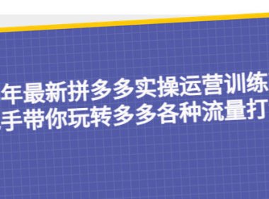 (4411)23年最新拼多多实操运营训练营:手把手带你玩转多多各种流量打法!