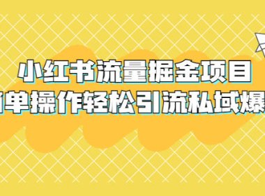 (4425)外面收费398小红书流量掘金项目,简单操作轻松引流私域爆单