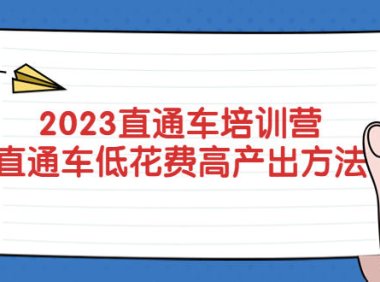 (4435)2023直通车培训营:直通车低花费-高产出的方法公布!