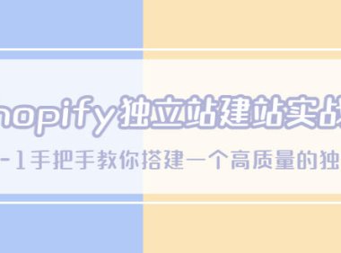 (4444)Shopify独立站/建站实战课,从0-1手把手教你搭建一个高质量的独立站