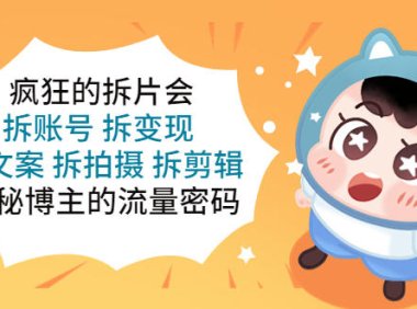 (4458)疯狂的拆片会:拆账号 拆变现 拆文案 拆拍摄 拆剪辑 揭秘博主的流量密码
