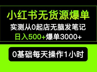 (4462)小红书无货源爆单 实测从0起店无脑发笔记 日入500+爆单3000+长期项目可多店