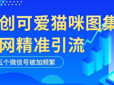 (4470)黑科技纯原创可爱猫咪图片,全网精准引流,实操5个VX号被加频繁