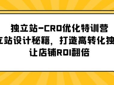 (4475)独立站-CRO优化特训营,独立站设计秘籍,打造高转化独立站,让店铺ROI翻倍