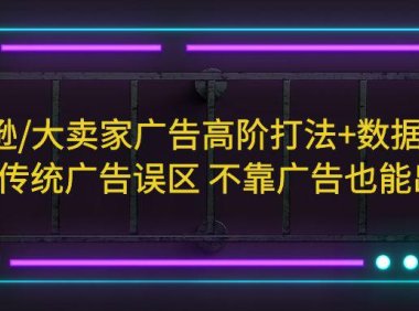 (4476)亚马逊/大卖家广告高阶打法+数据分析,走出传统广告误区 不靠广告也能出单