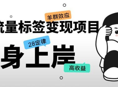 (4481)抖音流量标签变现项目,抖音创业粉轻松转化,单价高收益简单