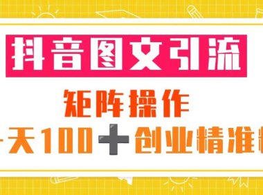 (4491)抖音图文引流 矩阵操作 一天100+创业精准粉(5节视频课+素材模板)