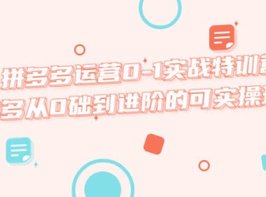 (4496)拼多多运营0-1实战特训营,拼多多从0础到进阶的可实操玩法!