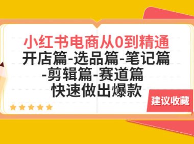 (4504)小红书电商从0到精通:开店篇-选品篇-笔记篇-剪辑篇-赛道篇 快速做出爆款