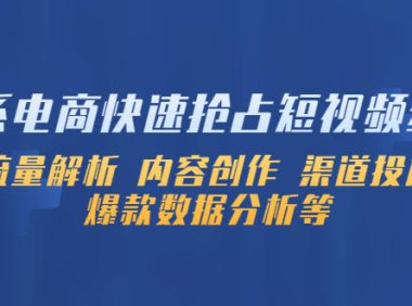 (4514)淘系电商快速抢占短视频红利:流量解析 内容创作 渠道投放 爆款数据分析等