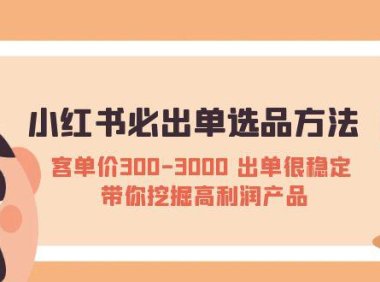 (4517)小红书必出单选品方法:客单价300-3000 出单很稳定 带你挖掘高利润产品