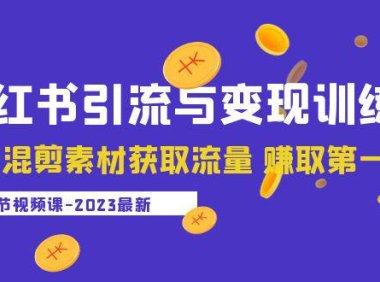 (4519)2023小红书引流与变现训练营:搬运混剪素材获取流量 赚取第一桶金(9节课)