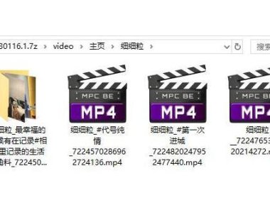 （4542）抖音视频主页爬虫一键下载工具PC版
