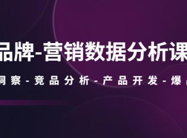 (4547)品牌-营销数据分析课,行业洞察-竞品分析-产品开发-爆品打造