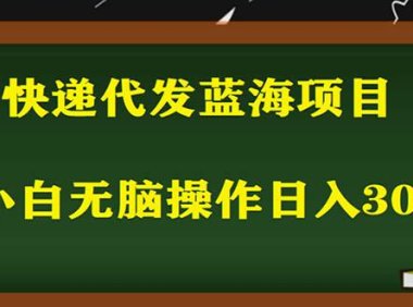 (4554)2023最新蓝海快递代发项目,小白零成本照抄也能日入300+