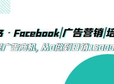 （4569）2023·Facebook|广告营销|培训班，挖掘广告商机，从0做到日销15000美金