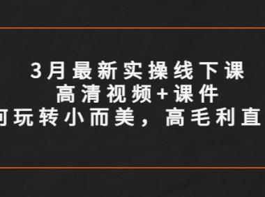 （4581）3月最新实操线下课高清视频+课件，如何玩转小而美，高毛利直播间