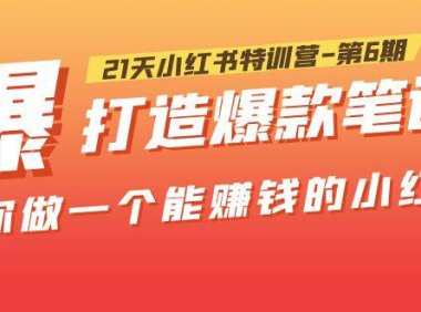 (4582)21天小红书特训营-第6期,打造爆款笔记,带你做一个能赚钱的小红书!