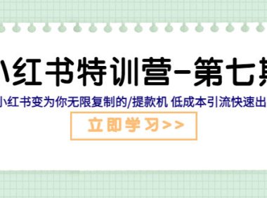 (4585)小红书特训营-第七期 让小红书变为你无限复制的/提款机 低成本引流快速出单