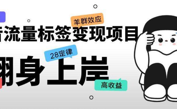 （4481）抖音流量标签变现项目，抖音创业粉轻松转化，单价高收益简单