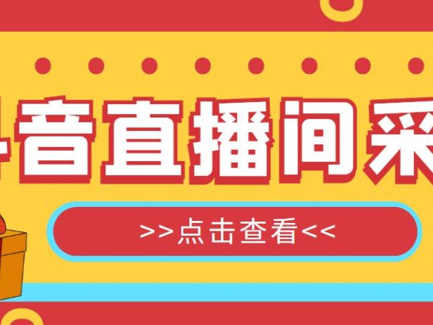 （4406）抖音直播间获客引流助手，一键采集直播间用户排行榜【软件+教程】