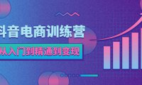 (4628)抖音电商训练营:从入门到精通,从账号定位到流量变现,抖店运营实操