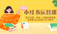(4667)小红书·运营课,笔记运营、规则、店铺运营等模块讲解 独立运营小红书账号