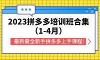 (4669)2023拼多多培训班合集(1-4月),最新最全新手拼多多上手课程!