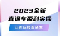 (4695)2023全新直通车实操课程,从底层策略到搭建,带你玩转淘宝直通车
