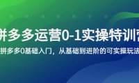 (4727)拼多多·2023运营实操课程,0基础入门拼多多到进阶的全实操课程