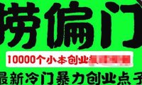 (4730)上千个偏门小本创业项目,总有一个会适合你