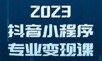 (4732)抖音小程序·保姆级变现教程,0粉丝不实名3天起号玩法