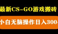 (4739)2023长期steam搬砖·CSGO道具倒卖项目,小白无脑轻松日入300+