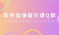 （4761）软件弹窗引流技术，另类QQ微信爆流量引流（实操视频+工具）