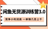 (4808)新版·闲鱼无货源电商技术,竞争低利润高的选品方法,一单轻松几百(教程+手册)