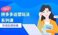(4825)2023拼多多运营,新店快速起爆玩法系列课程【25节】(4825)