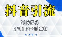 (4854)抖音矩阵引流创业粉,一天轻松引100+