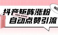 (4886)抖音矩阵涨粉挂机项目,全自动化操作【软件+视频教程】