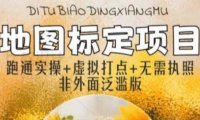 (4915)月入过万的地图标注项目教程,不需要营业执照+新手小白可做