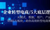 (4924)企业转型电商/5大底层逻辑,从模式 数据 用户 产品 营销5大板块,高效转型